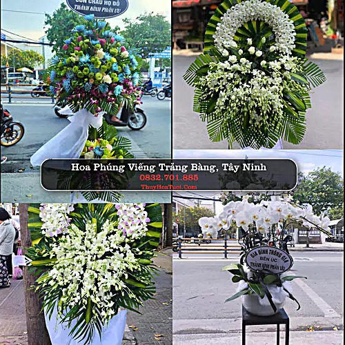 Đặt Hoa Chia Buồn tại Trảng Bàng, Tây Ninh (Cũ)