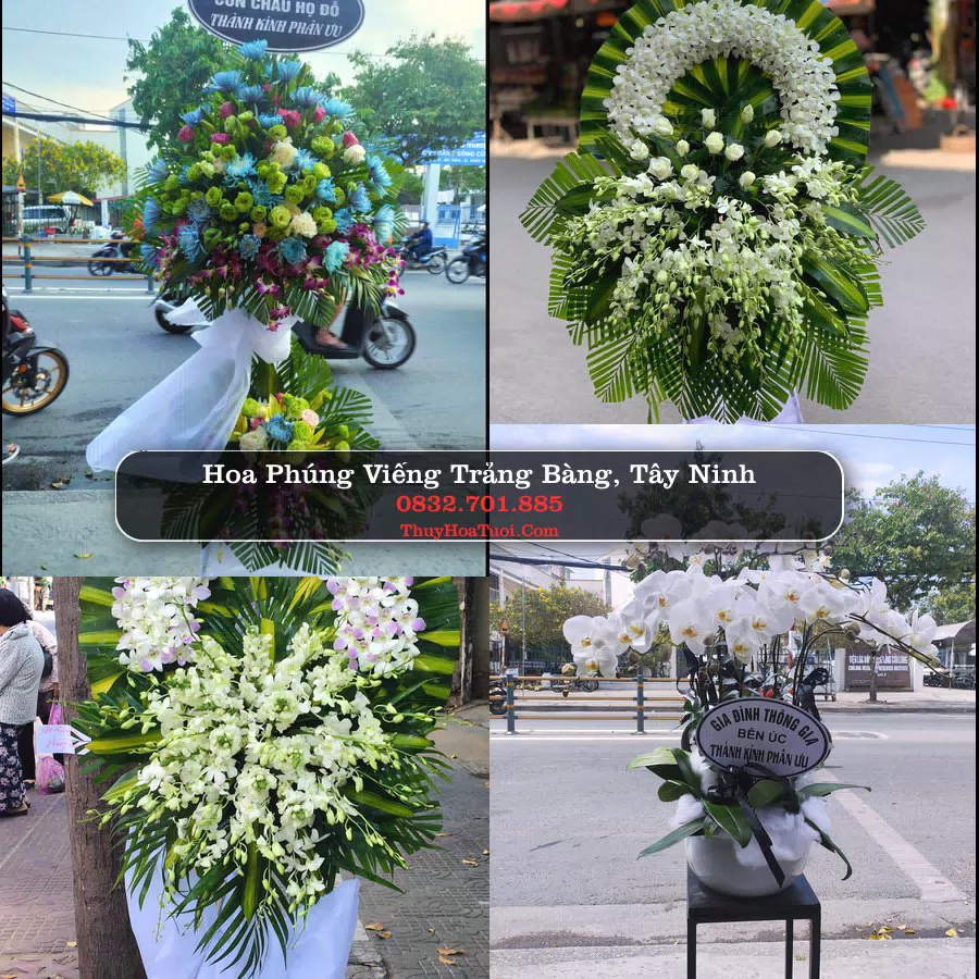 Đặt Hoa Chia Buồn tại Trảng Bàng, Tây Ninh (Cũ)