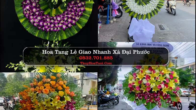 Đặt Hoa Chia Buồn tại Xã Đại Phước, Đồng Nai
