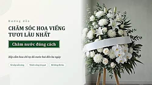 Hướng dẫn cách chăm sóc hoa viếng đám tang tươi lâu nhất