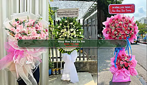 Shop Hoa Tươi An Bài - Huyện Quỳnh Phụ (Cũ)