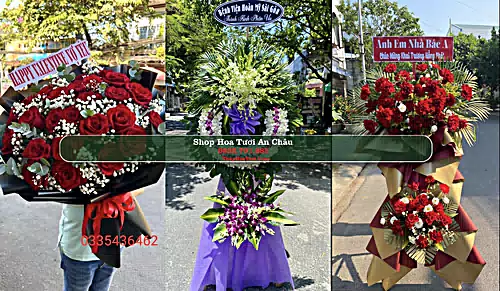 Shop Hoa Tươi An Châu - Huyện Châu Thành (Cũ)