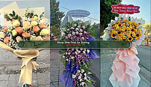 Shop Hoa Tươi An Dương - Huyện An Dương (Cũ)