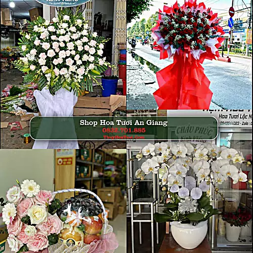Điện Hoa An Giang - Shop Hoa Tươi Uy Tín