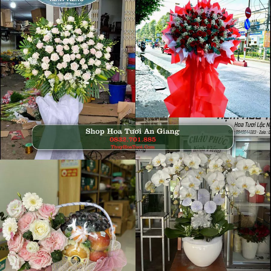 Điện Hoa An Giang - Shop Hoa Tươi Uy Tín