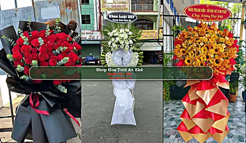 Shop Hoa Tươi An Khê - Gia Lai (Cũ)