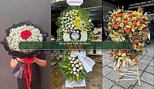 Shop Hoa Tươi An Nhơn - Bình Định (Cũ)