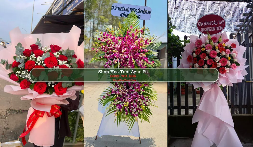 Shop Hoa Tươi Ayun Pa - Gia Lai (Cũ)