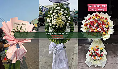 Shop Hoa Tươi Ba Chẽ - Huyện Ba Chẽ (Cũ)