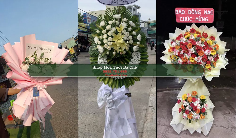 Shop Hoa Tươi Ba Chẽ - Huyện Ba Chẽ (Cũ)