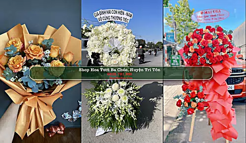 Shop Hoa Tươi Ba Chúc - Huyện Tri Tôn (Cũ)