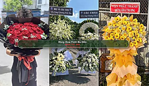 Shop Hoa Tươi Ba Đồn - Quảng Bình (Cũ)