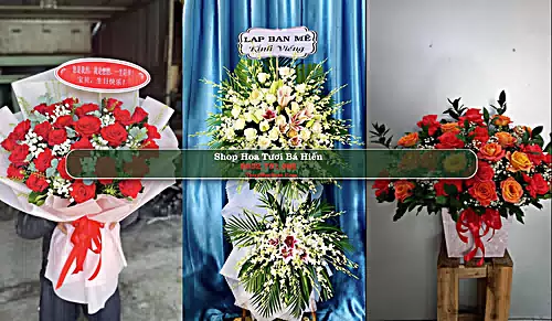 Shop Hoa Tươi Bá Hiến - Huyện Bình Xuyên (Cũ)