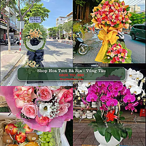 Shop Hoa Tươi Bà Rịa - Vũng Tàu - Điện Hoa Giao Tận Nơi