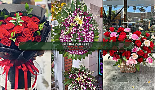 Shop Hoa Tươi Ba Tơ - Huyện Ba Tơ (Cũ)