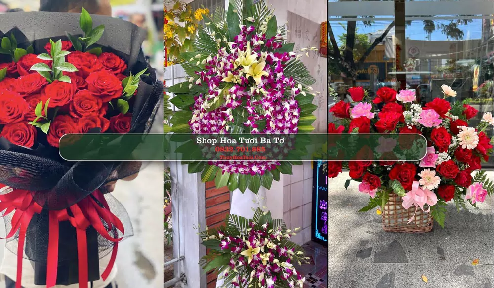 Shop Hoa Tươi Ba Tơ - Huyện Ba Tơ (Cũ)