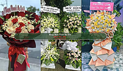 Shop Hoa Tươi Ba Tri - Huyện Ba Tri (Cũ)