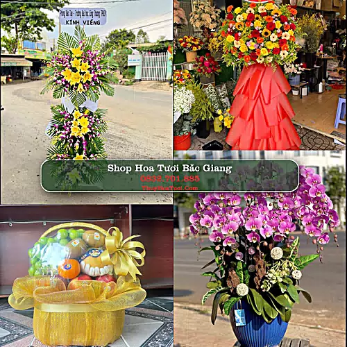 Điện Hoa Bắc Giang - Shop Hoa Tươi Uy Tín