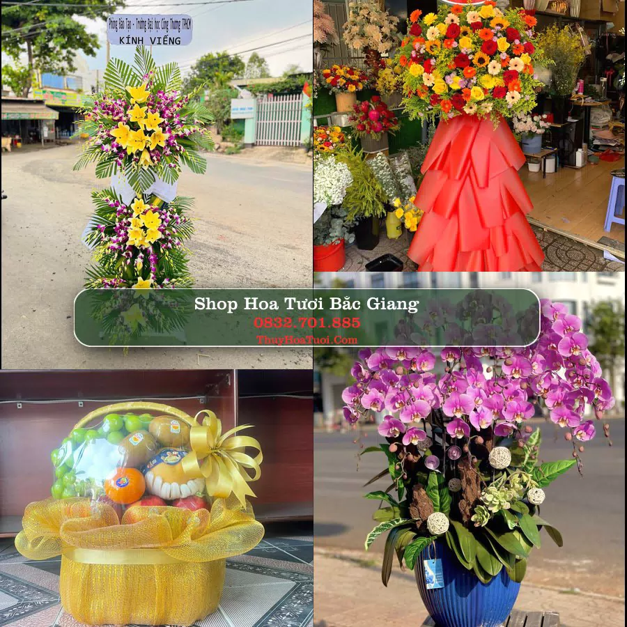 Điện Hoa Bắc Giang - Shop Hoa Tươi Uy Tín
