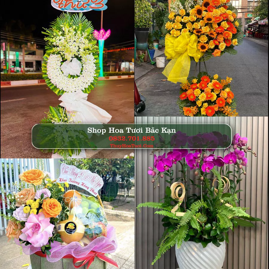 Shop Hoa Tươi Bắc Kạn - Hoa Đẹp Cho Mọi Dịp