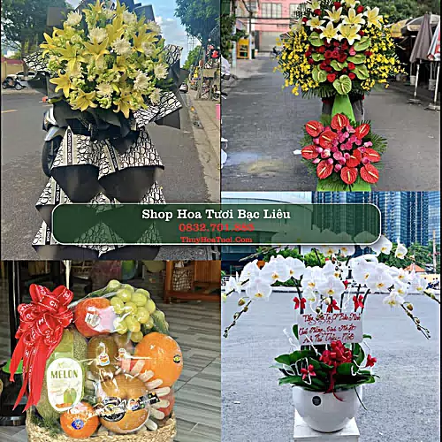 Đặt Hoa Tươi Bạc Liêu - Giao Nhanh Tận Nơi