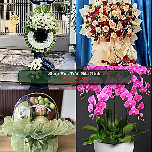 Shop Hoa Tươi Bắc Ninh