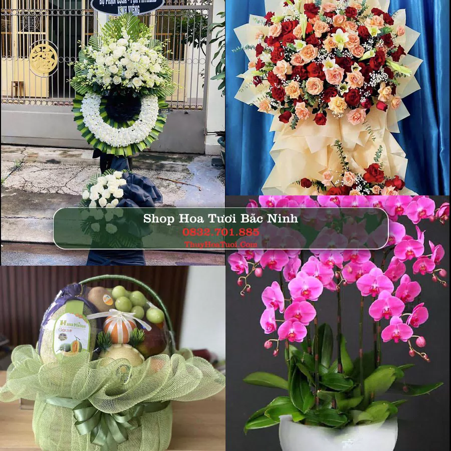 Shop Hoa Tươi Bắc Ninh