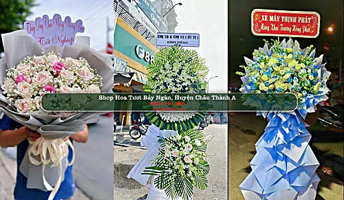 Shop Hoa Tươi Bảy Ngàn - Huyện Châu Thành A (Cũ)