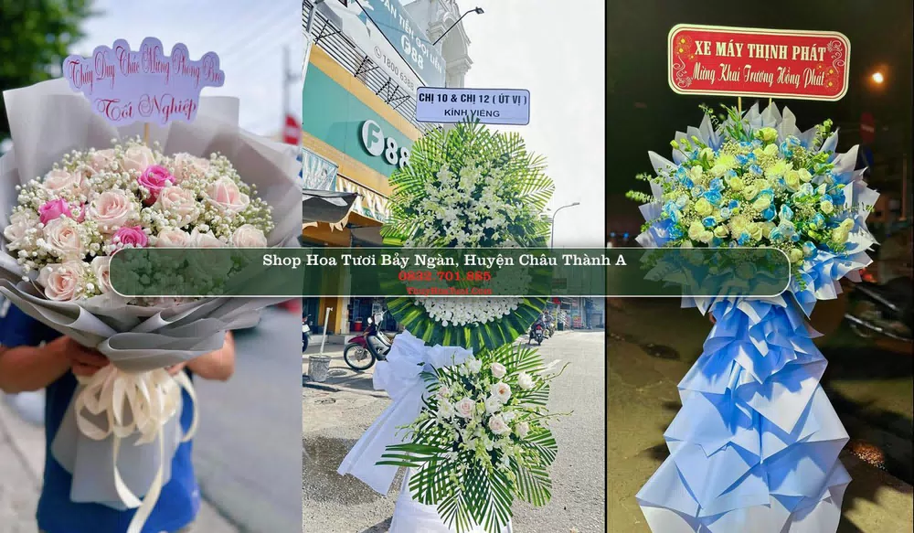 Shop Hoa Tươi Bảy Ngàn - Huyện Châu Thành A (Cũ)