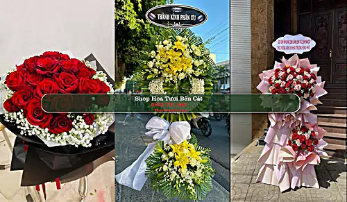 Shop Hoa Tươi Bến Cát - Bình Dương (Cũ)