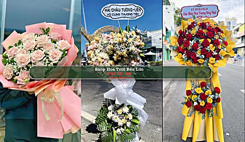 Shop Hoa Tươi Bến Lức - Huyện Bến Lức (Cũ)