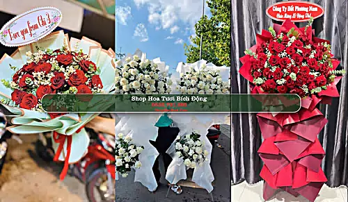 Shop Hoa Tươi Bích Động - Huyện Việt Yên (Cũ)