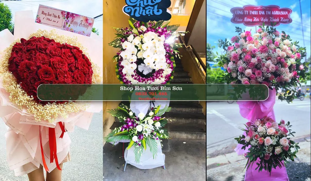 Shop Hoa Tươi Bỉm Sơn - Thanh Hóa (Cũ)