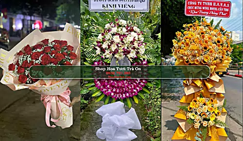 Shop Hoa Tươi Trà Ôn - Huyện Trà Ôn (Cũ)