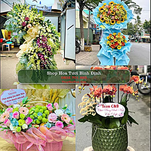 Shop Hoa Tươi Bình Định - Đặt Hoa Online Giao Nhanh