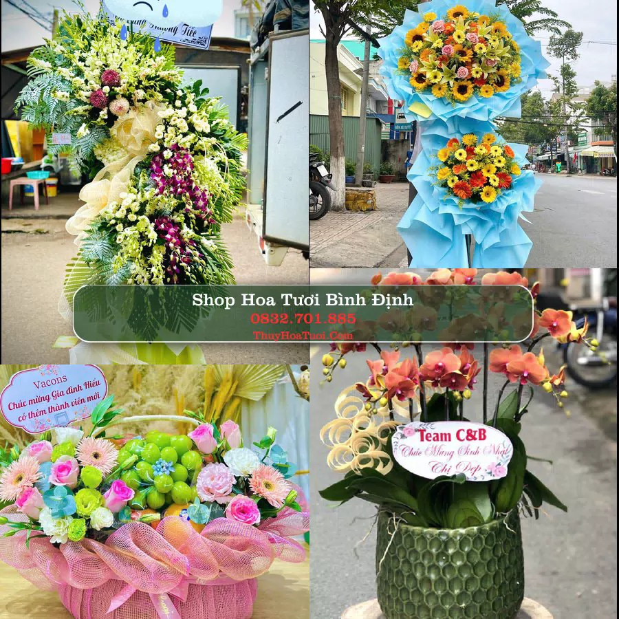 Shop Hoa Tươi Bình Định - Đặt Hoa Online Giao Nhanh