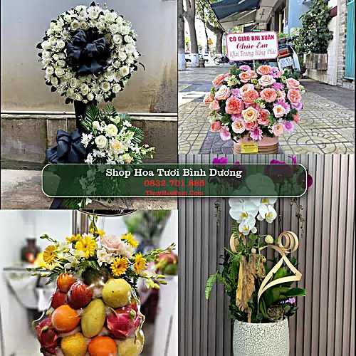 Shop Hoa Tươi Bình Dương - Đặt Hoa Online Giao Nhanh