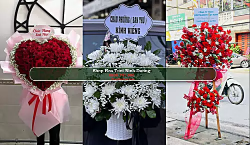 Shop Hoa Tươi Bình Dương - Huyện Phù Mỹ (Cũ)