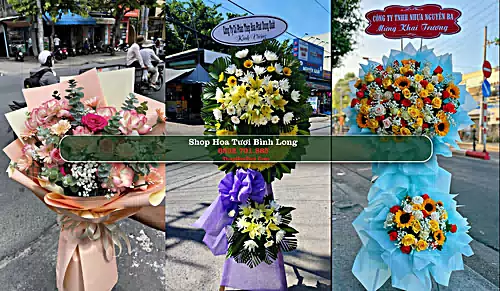 Shop Hoa Tươi Bình Long - Bình Phước (Cũ)