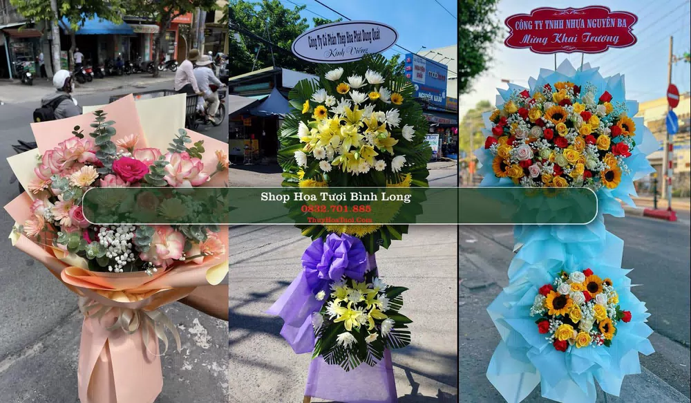Shop Hoa Tươi Bình Long - Bình Phước (Cũ)