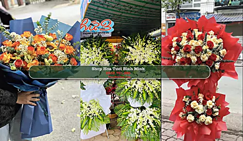 Shop Hoa Tươi Bình Minh - Huyện Kim Sơn (Cũ)