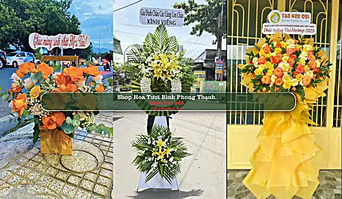 Shop Hoa Tươi Bình Phong Thạnh - Huyện Mộc Hóa (Cũ)