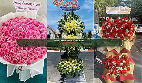 Shop Hoa Tươi Bình Phú - Huyện Cai Lậy (Cũ)