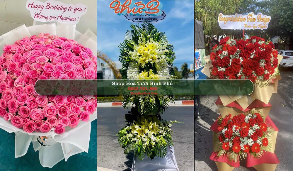 Shop Hoa Tươi Bình Phú - Huyện Cai Lậy (Cũ)