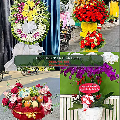 Shop Hoa Tươi Bình Phước - Tiệm Hoa Tươi Uy Tín