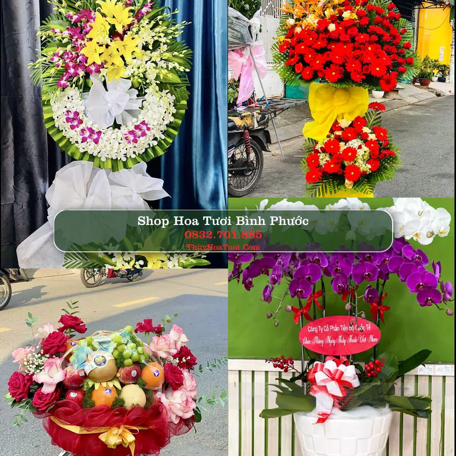 Shop Hoa Tươi Bình Phước - Tiệm Hoa Tươi Uy Tín