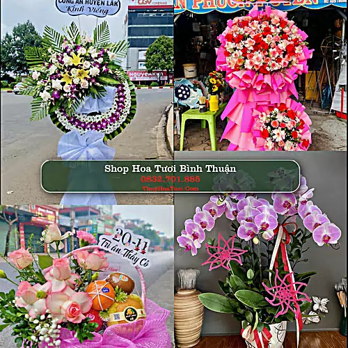 Điện Hoa Bình Thuận - Shop Hoa Tươi Uy Tín