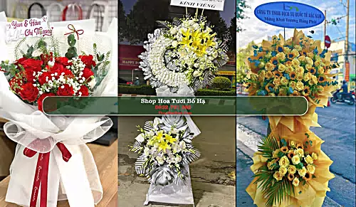 Shop Hoa Tươi Bố Hạ - Huyện Yên Thế (Cũ)