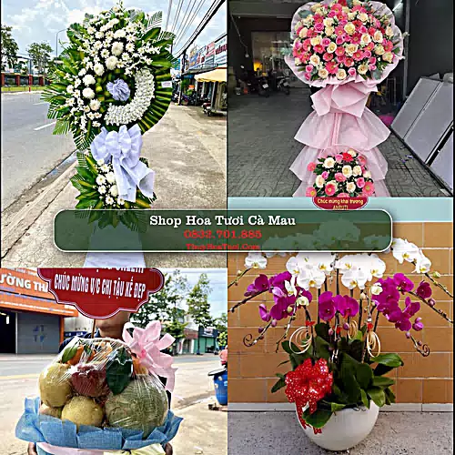 Điện Hoa Cà Mau - Shop Hoa Tươi Uy Tín