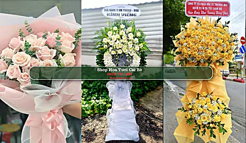 Shop Hoa Tươi Cái Bè - Huyện Cái Bè (Cũ)